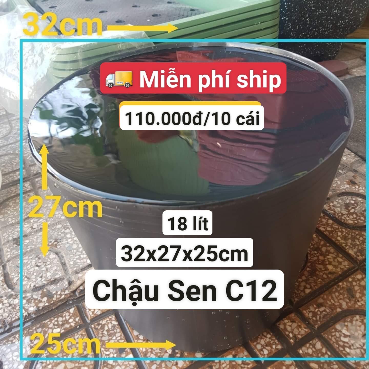 10 Chậu Nhựa Trồng Sen C12