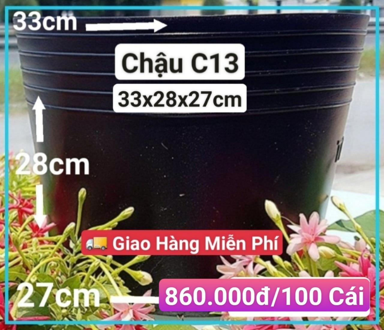 100 Chậu Mềm Đen C13