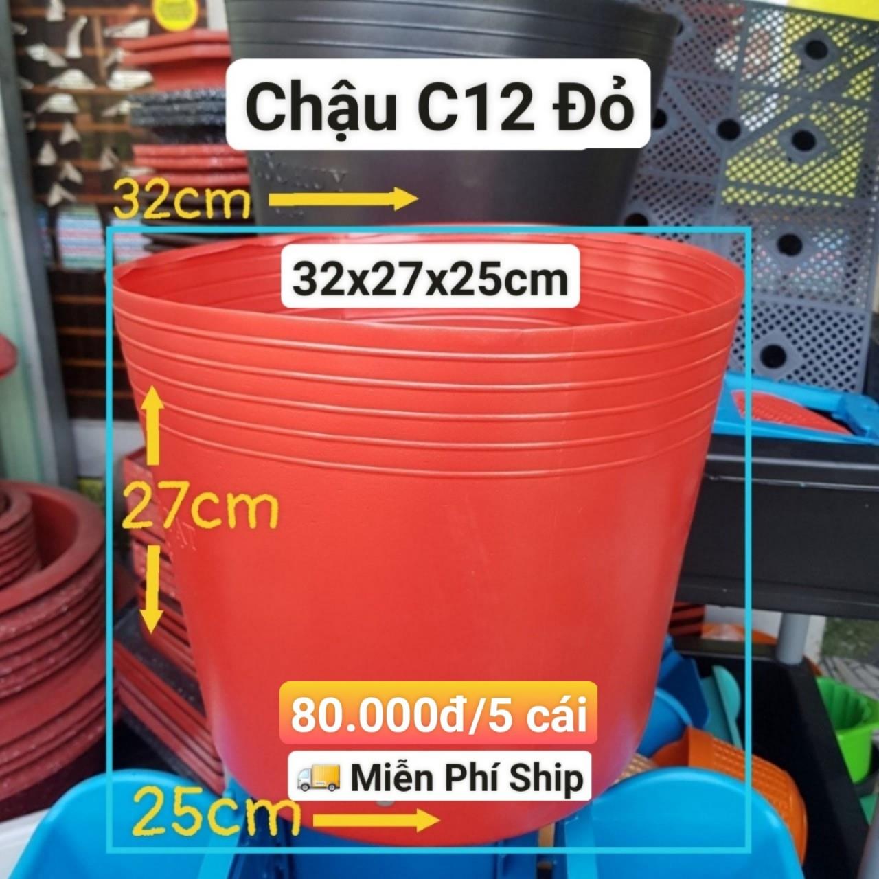 5 Chậu Mềm Đỏ C12