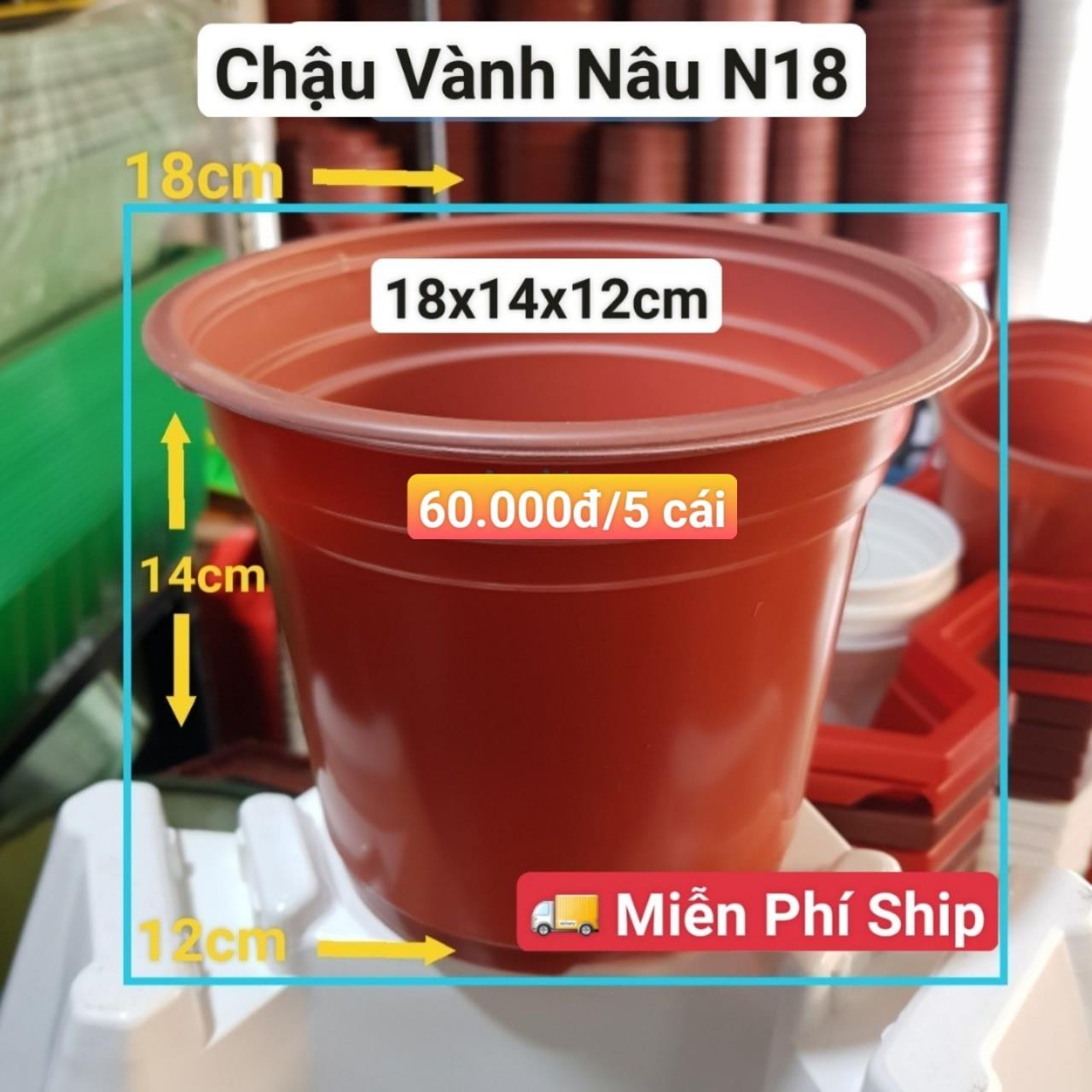5 Chậu Vành Nâu N18