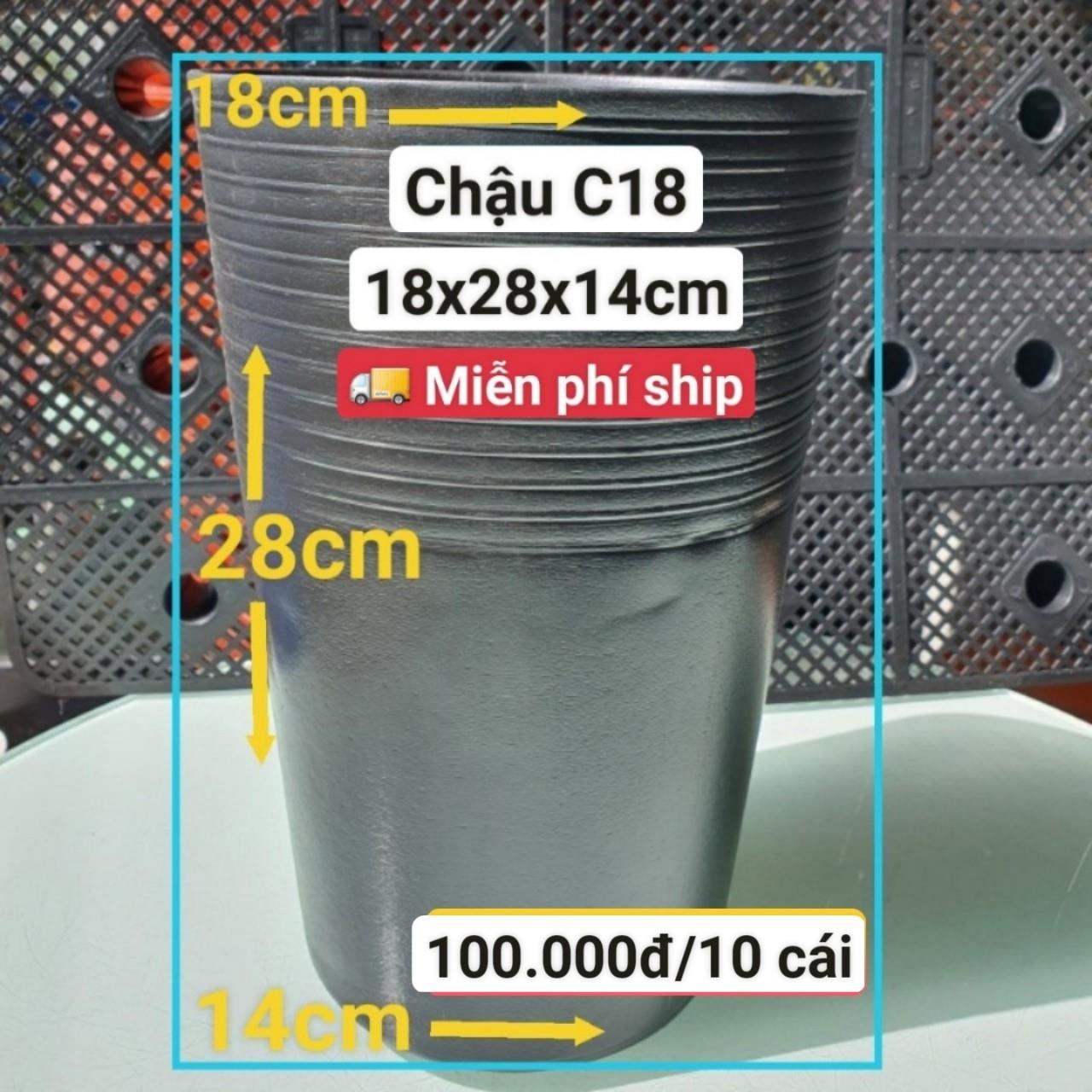 10 Chậu Ươm Cây Giống C18