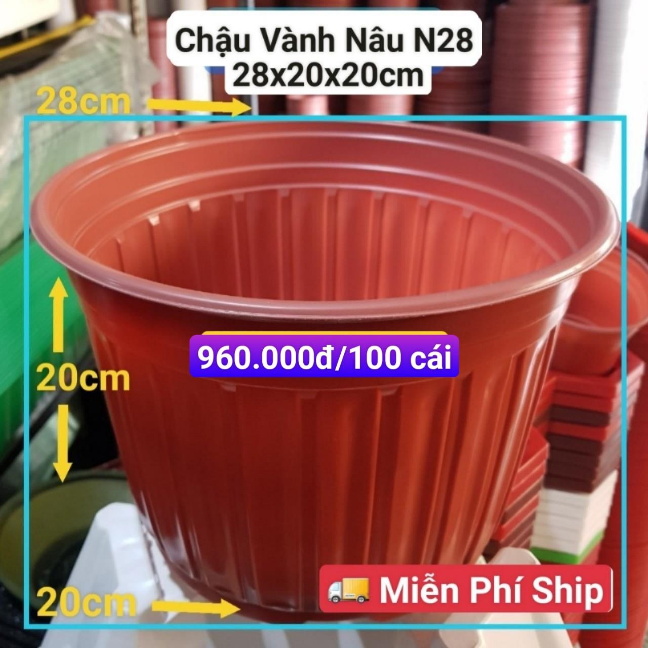 100 Chậu Vành Nâu N28