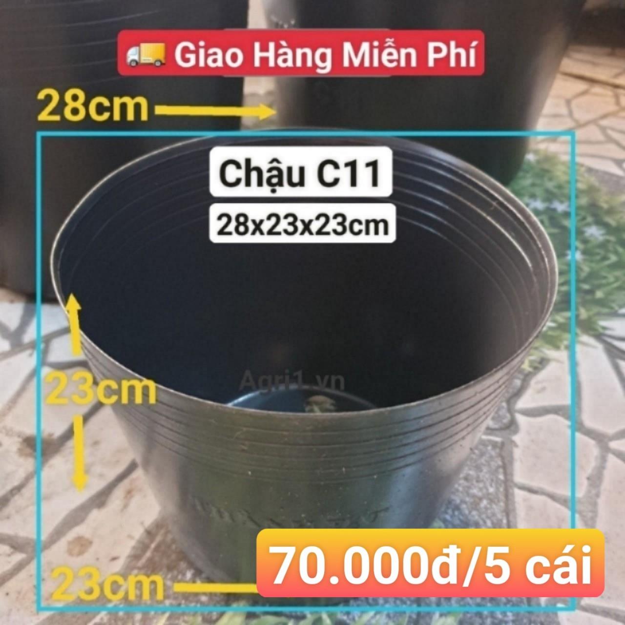 5 Chậu Mềm Đen C11