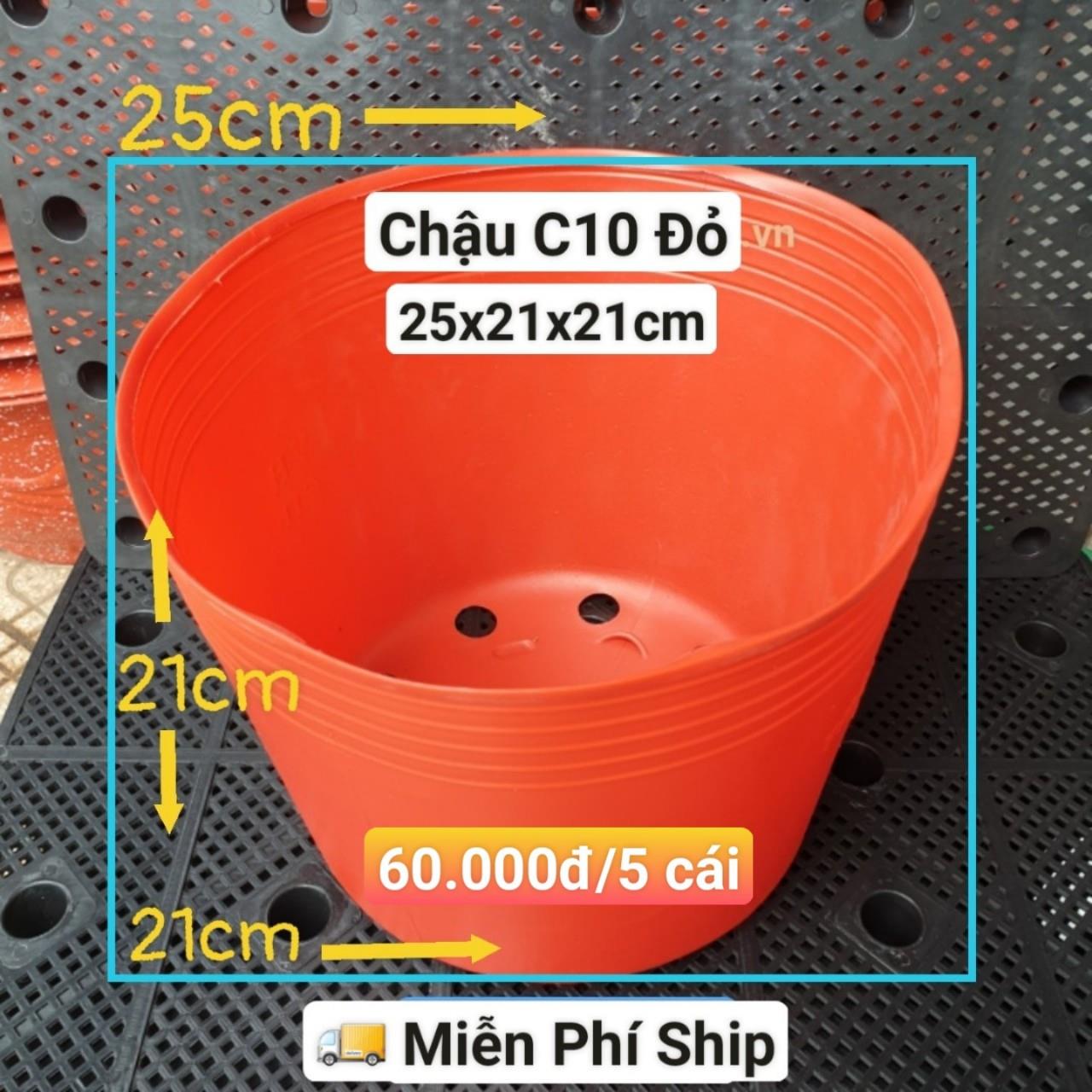 5 Chậu Mềm Đỏ C10