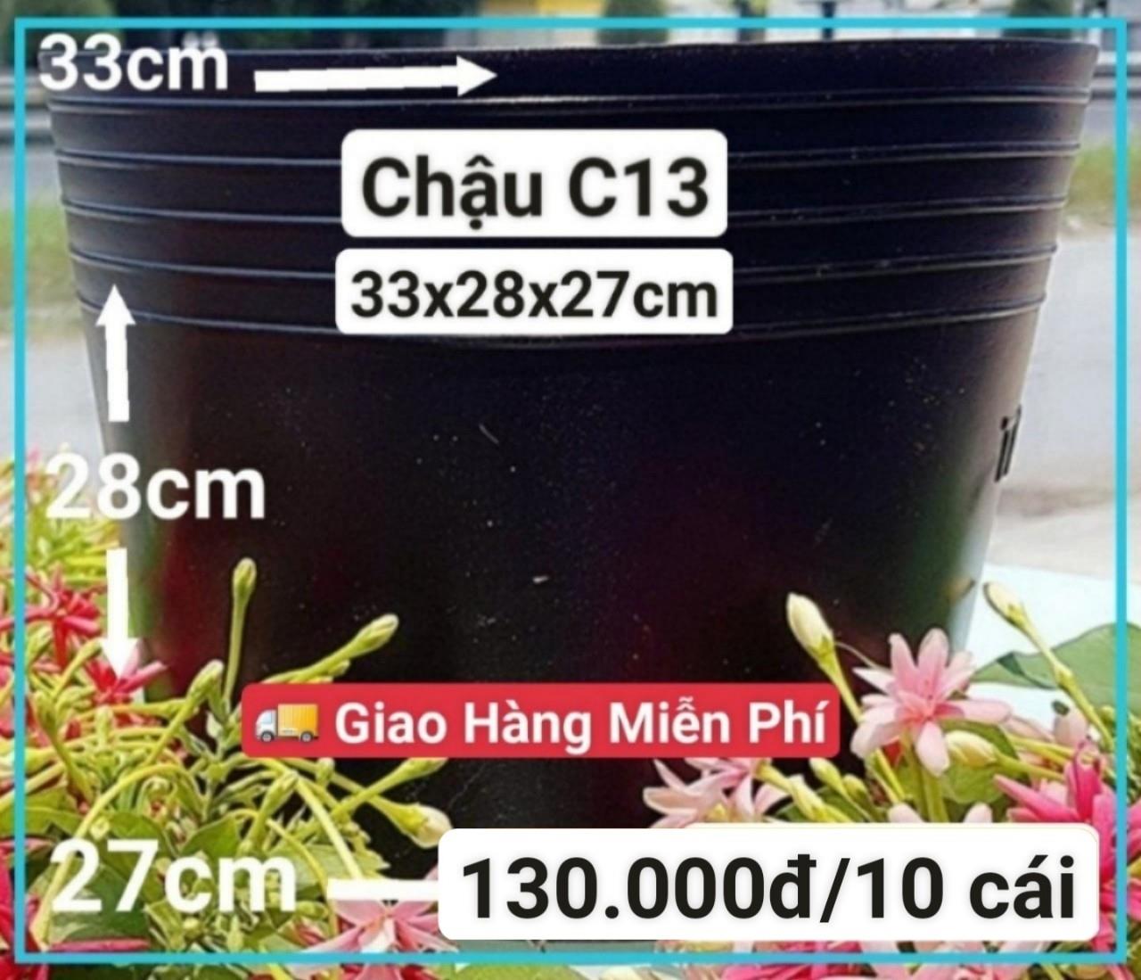 10 Chậu Mềm Đen C13