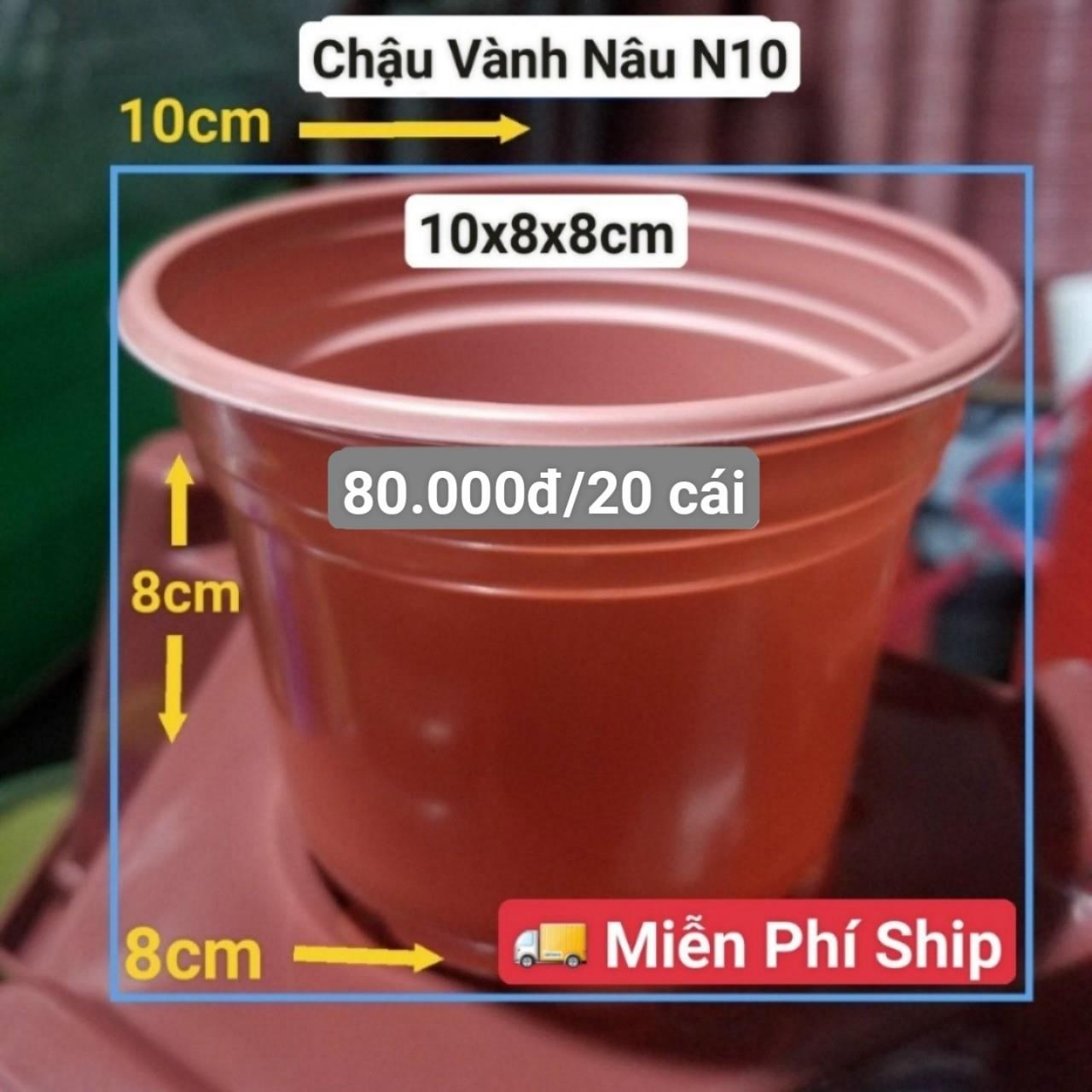 20 Chậu Vành Nâu N10