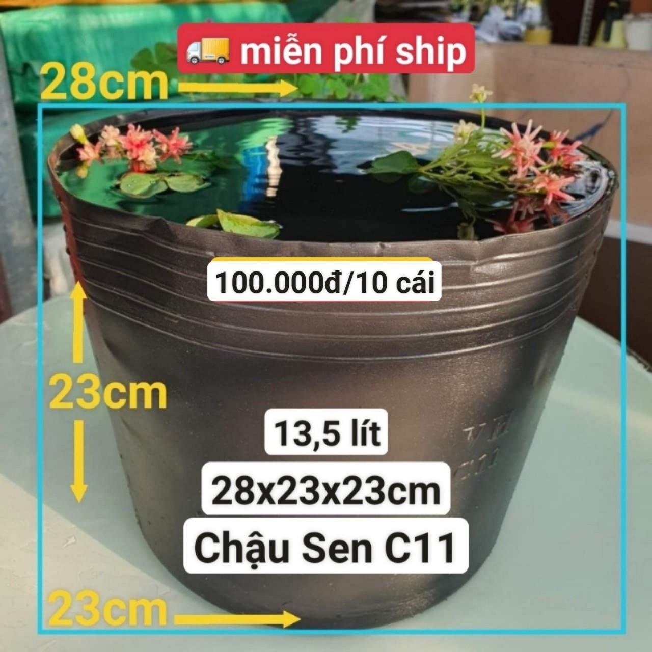 10 Chậu Nhựa Trồng Sen C11