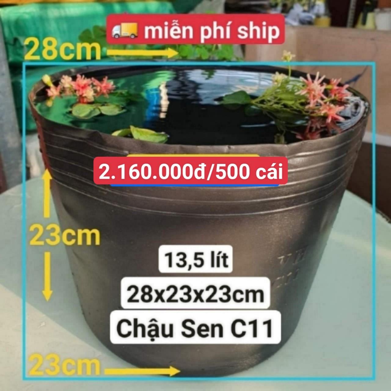 500 Chậu Nhựa Trồng Sen C11