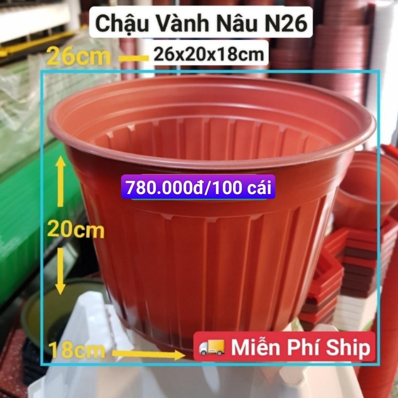 100 Chậu Vành Nâu N26