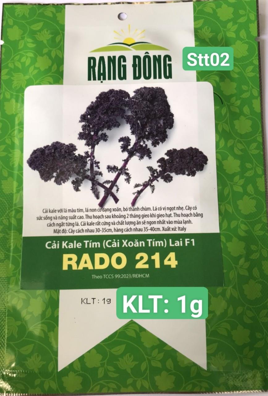 Cải Xoăn Kale Tím STT002