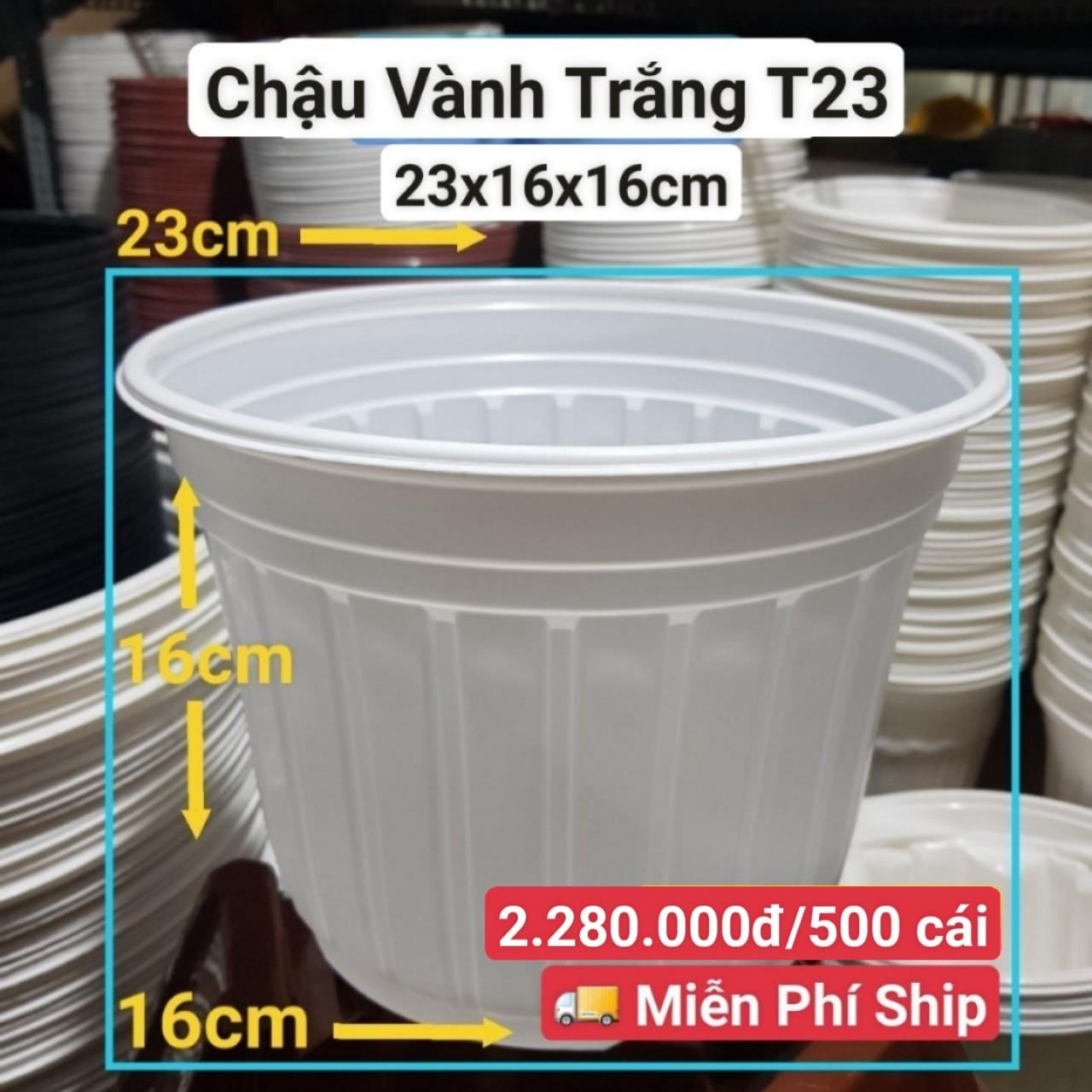 500 Chậu Vành Trắng T23