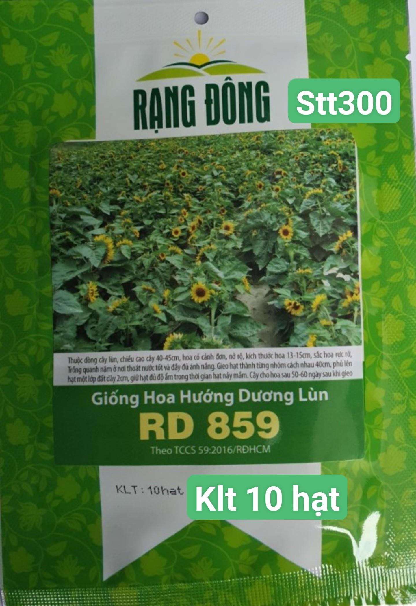 Hướng Dương Lùn STT300