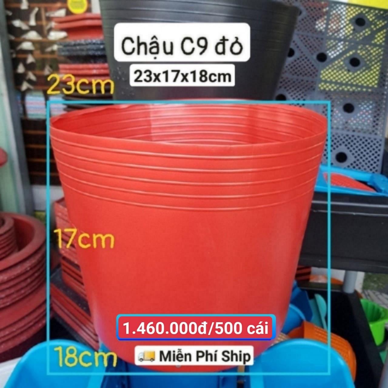 500 Chậu Mềm Đỏ C9