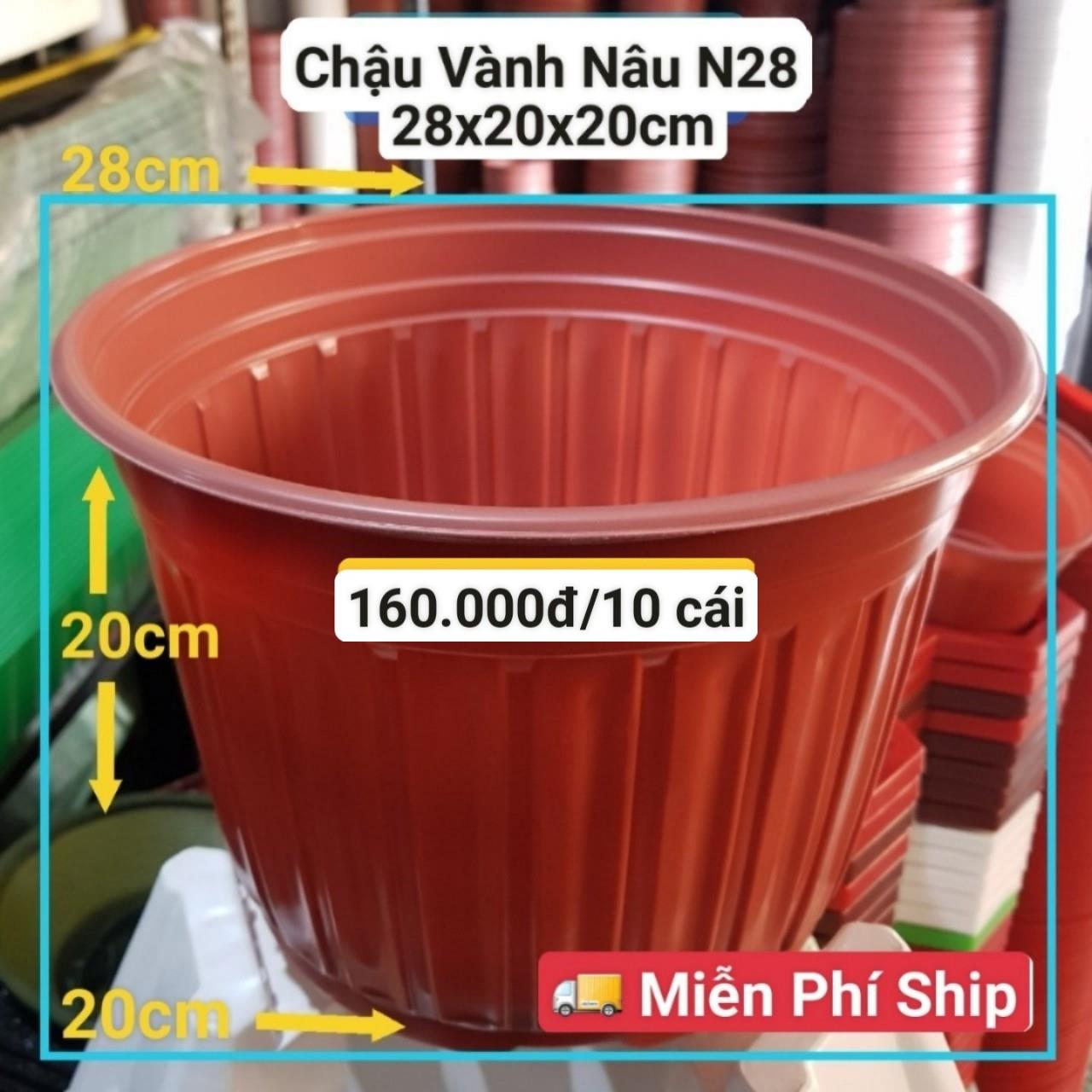 10 Chậu Vành Nâu N28