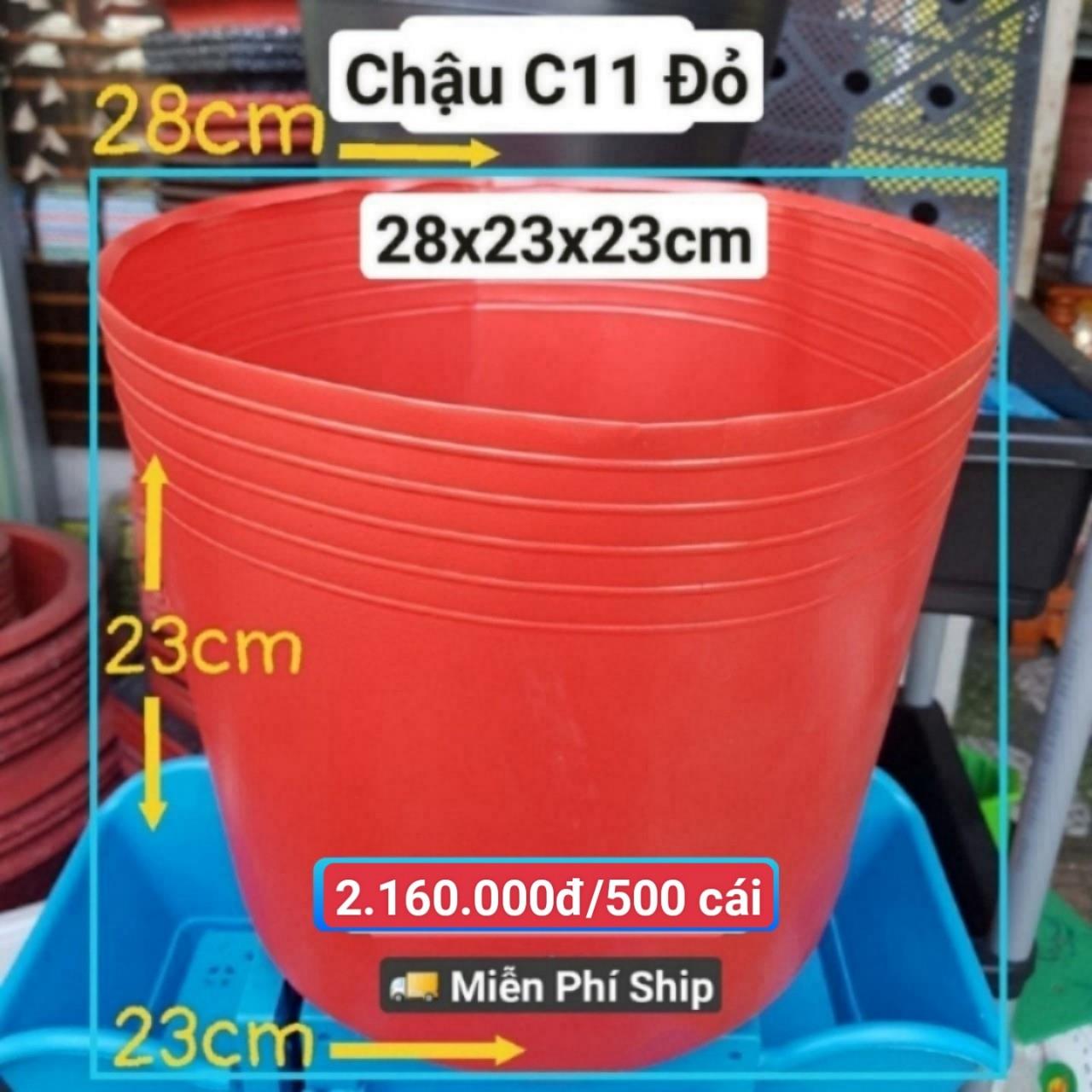 500 Chậu Mềm Đỏ C11
