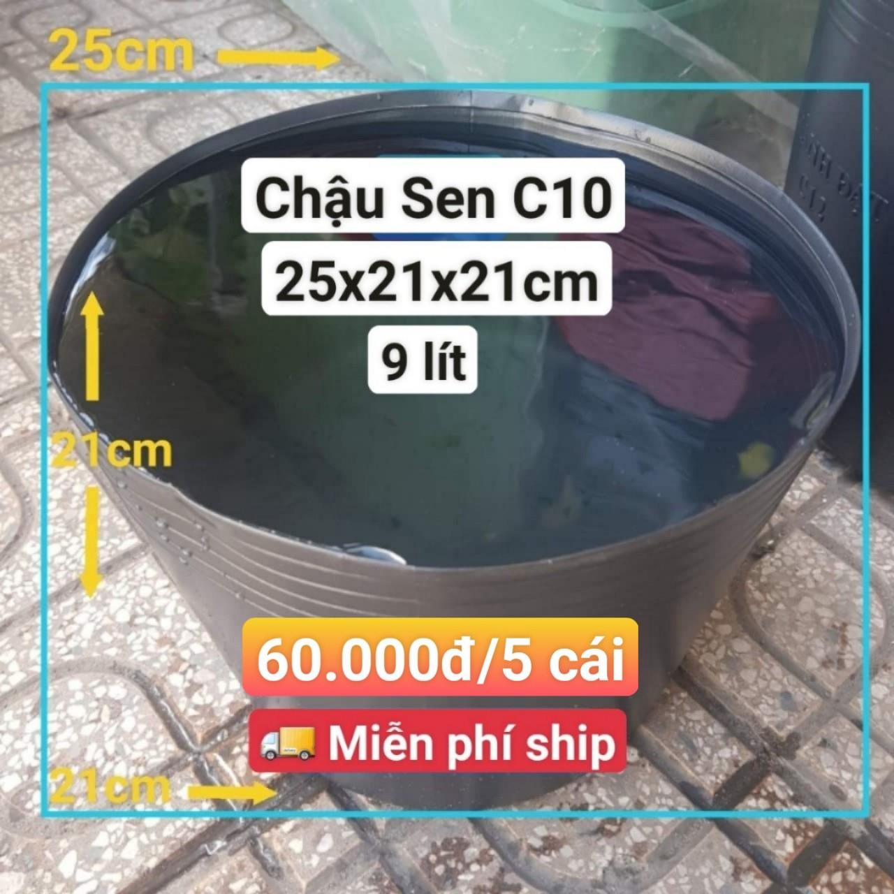 5 Chậu Nhựa Trồng Sen C10