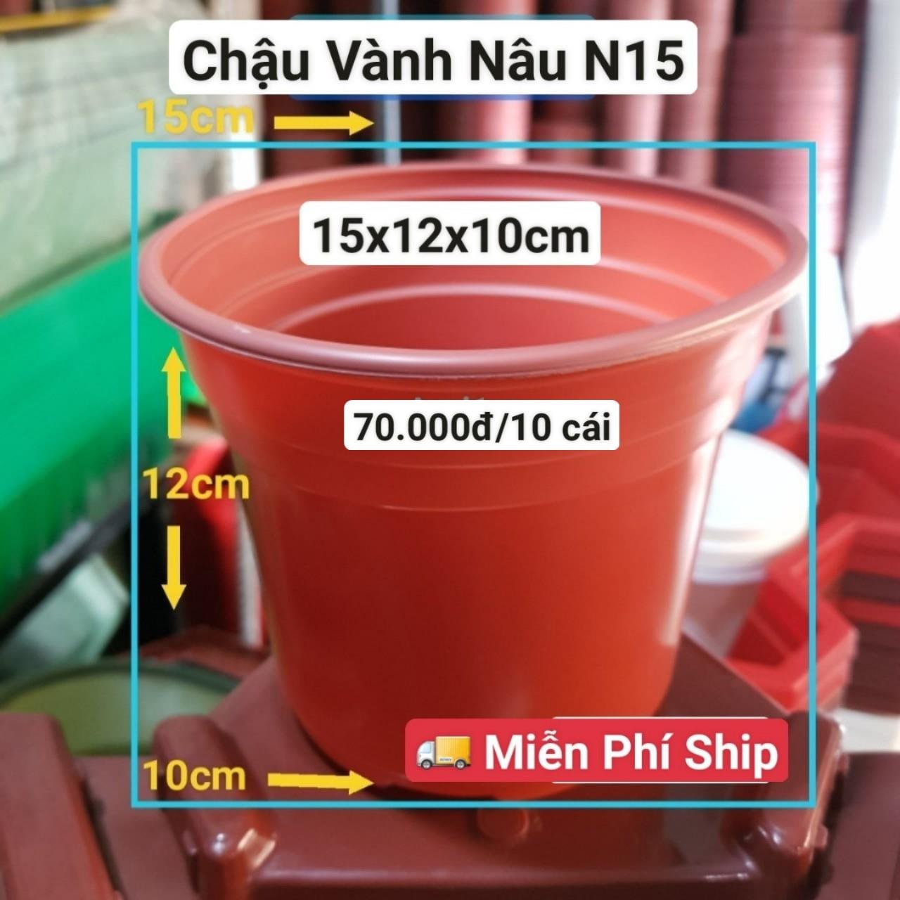 10 Chậu Vành Nâu N15
