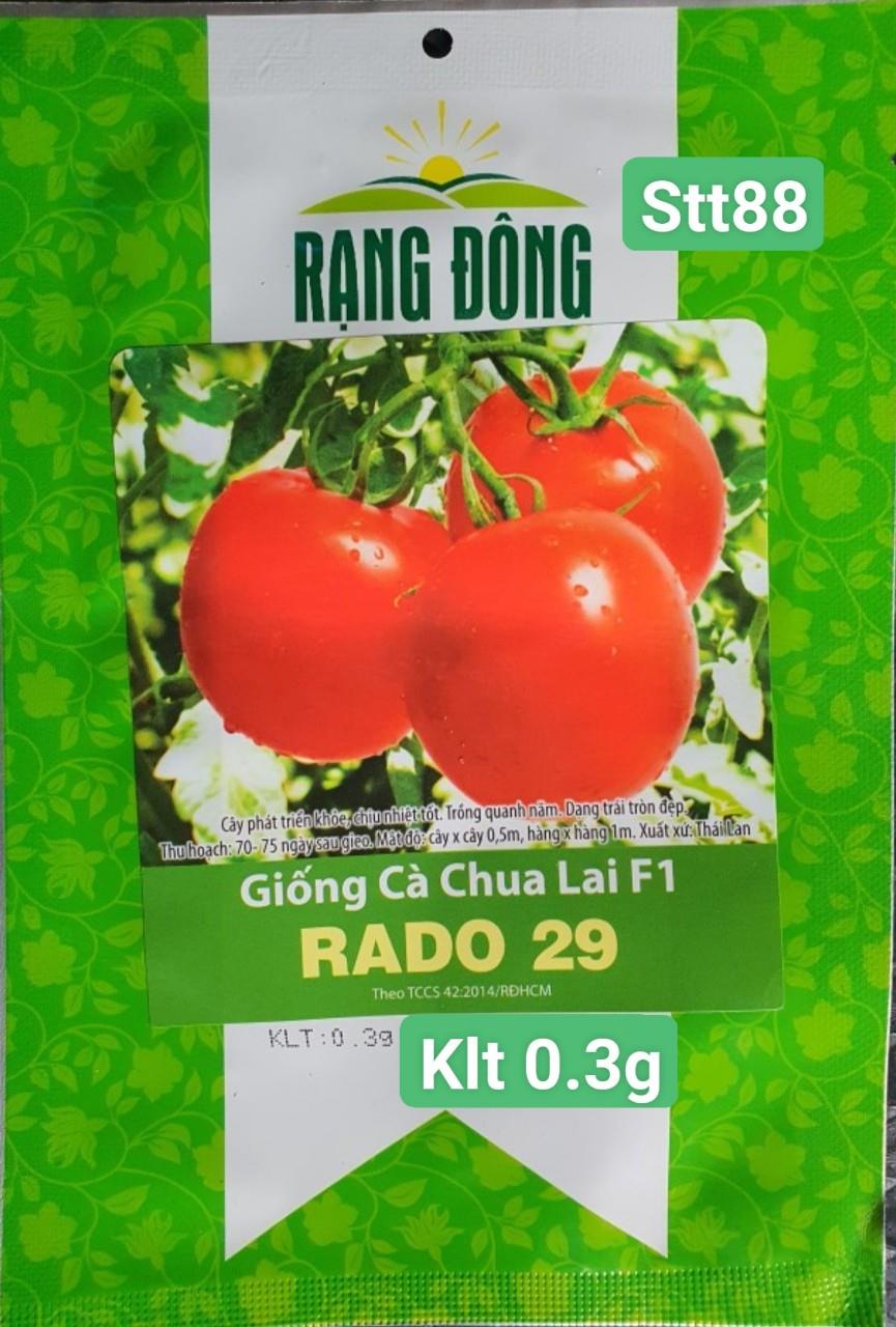 STT088 Cà Chua Lai F1