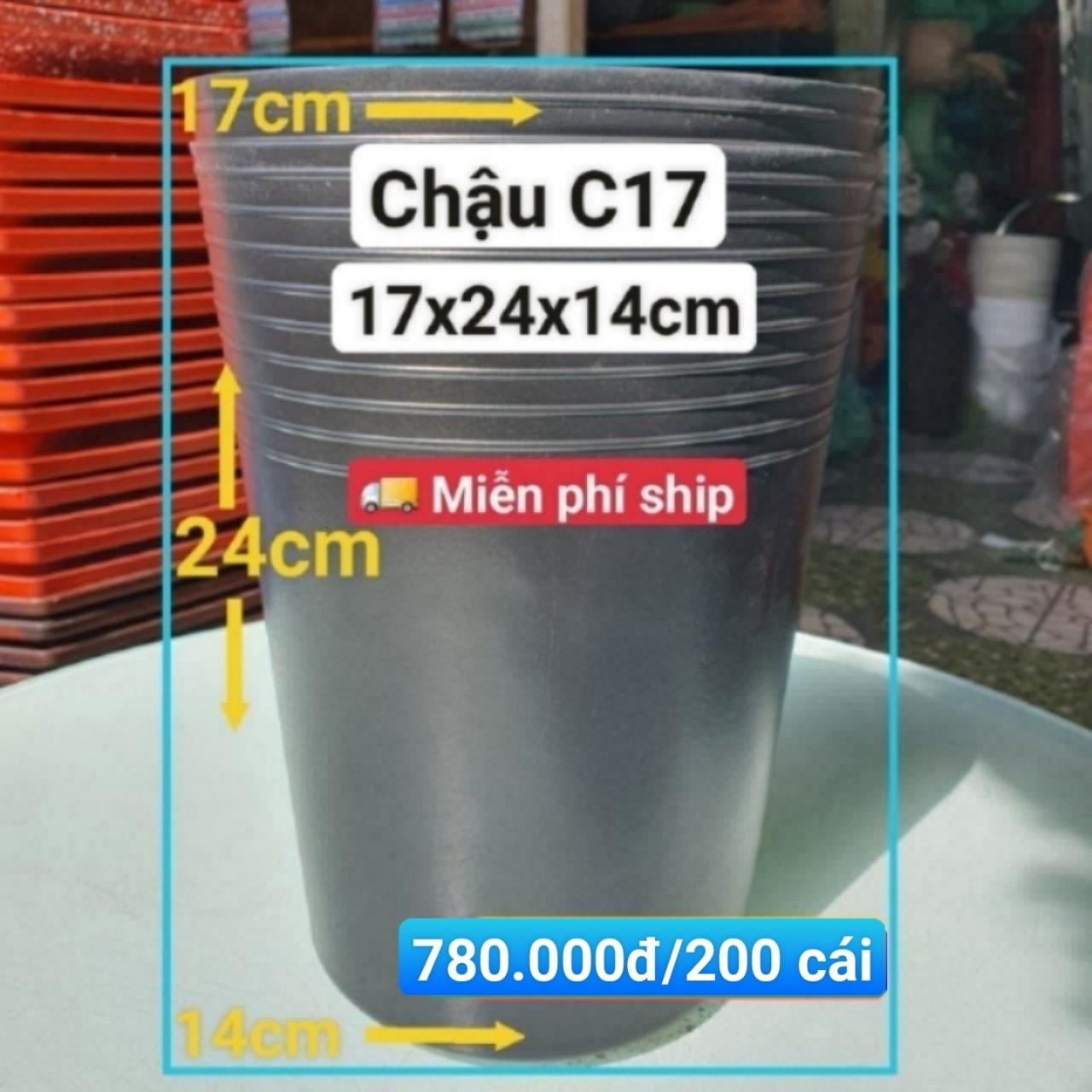 200 Chậu Ươm Cây Giống C17
