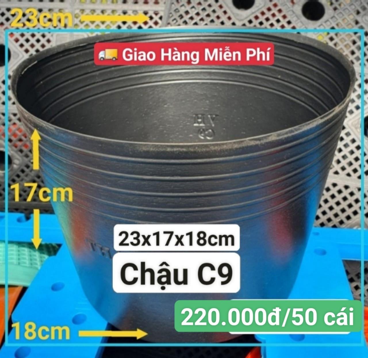 50 Chậu Mềm Đen C9