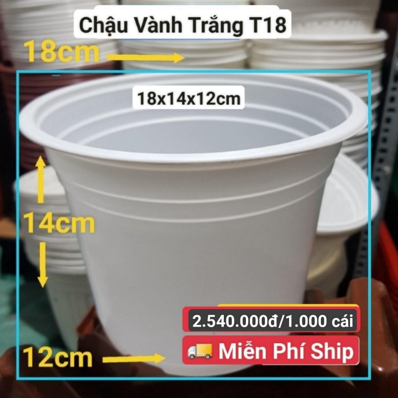 1000 Chậu Vành Trắng T18