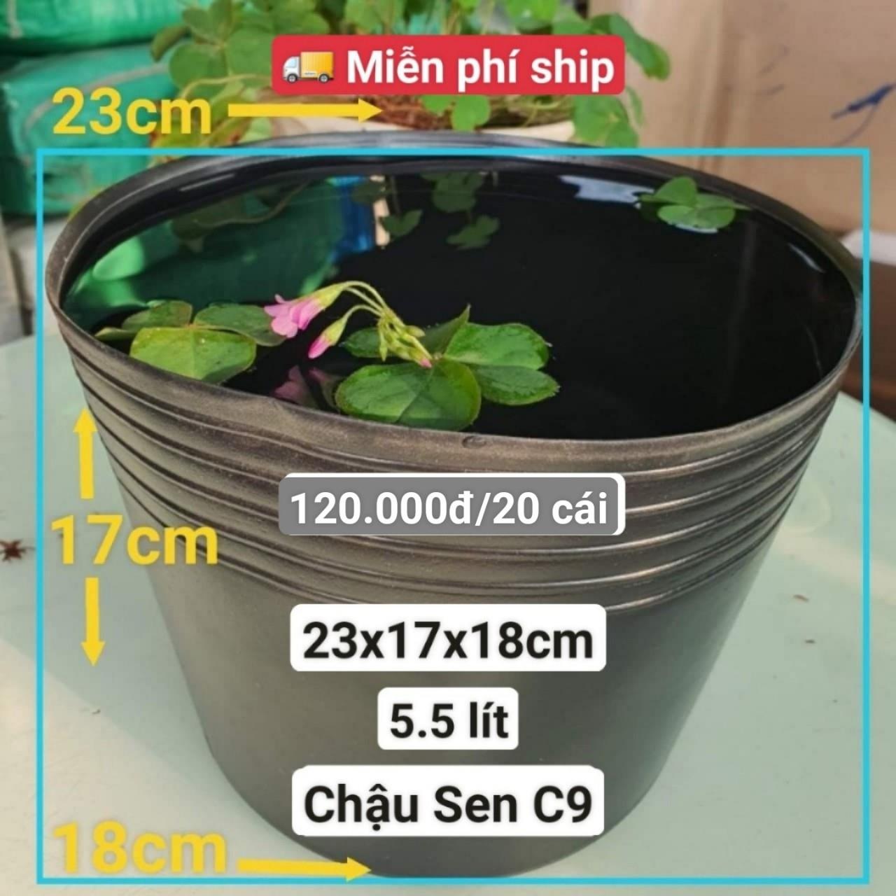 20 Chậu Nhựa Trồng Sen C9