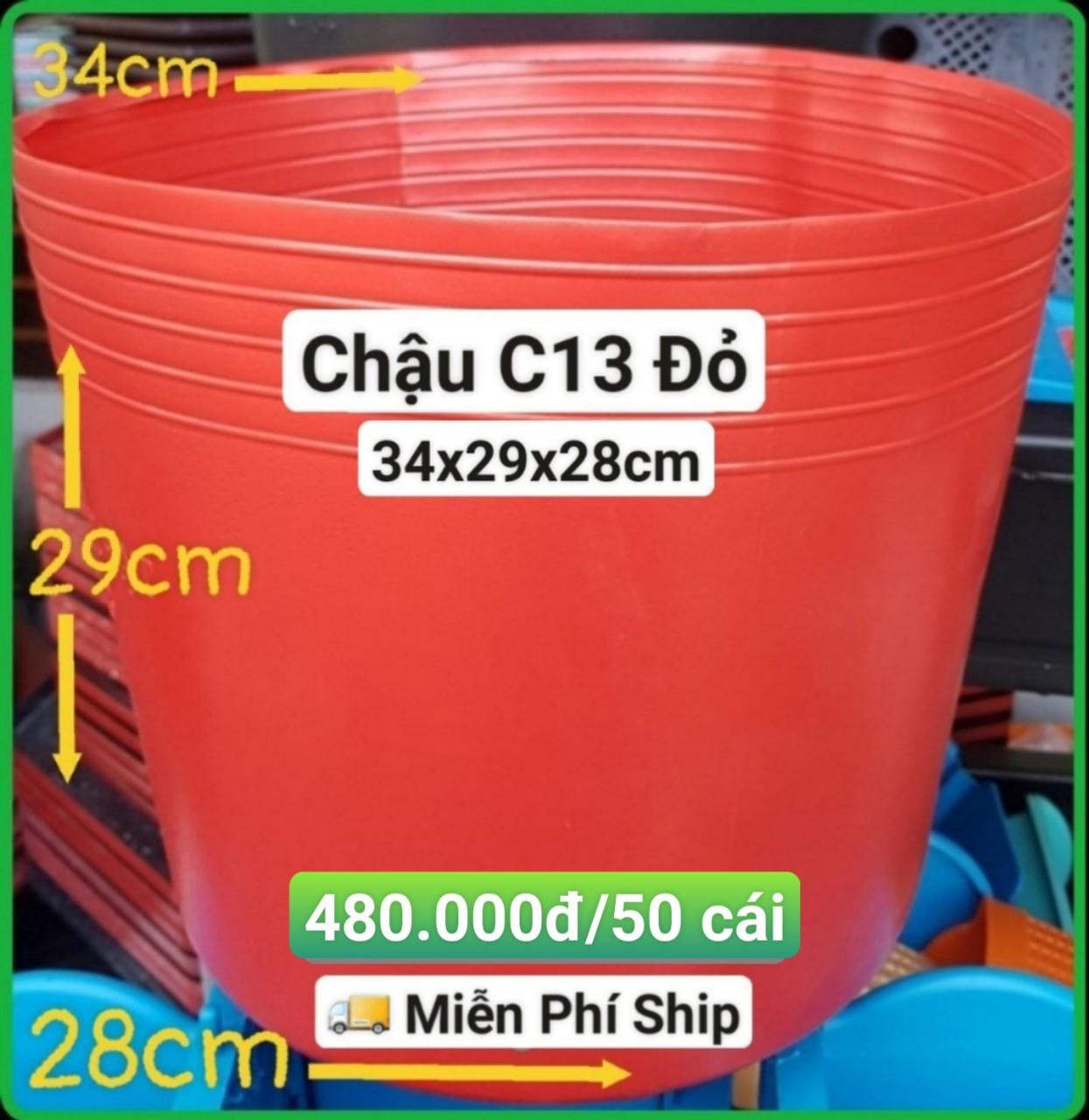 50 Chậu Mềm Đỏ C13