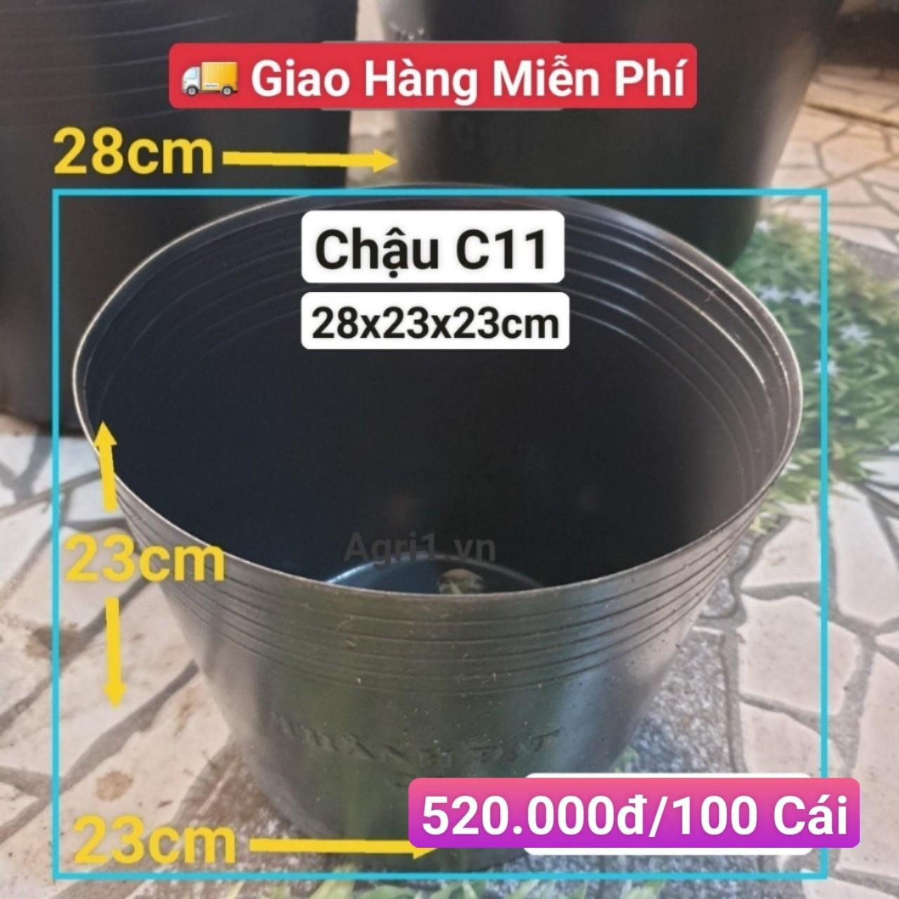 100 Chậu Mềm Đen C11