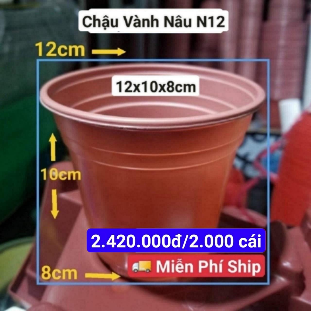 2000 Chậu Vành Nâu N12