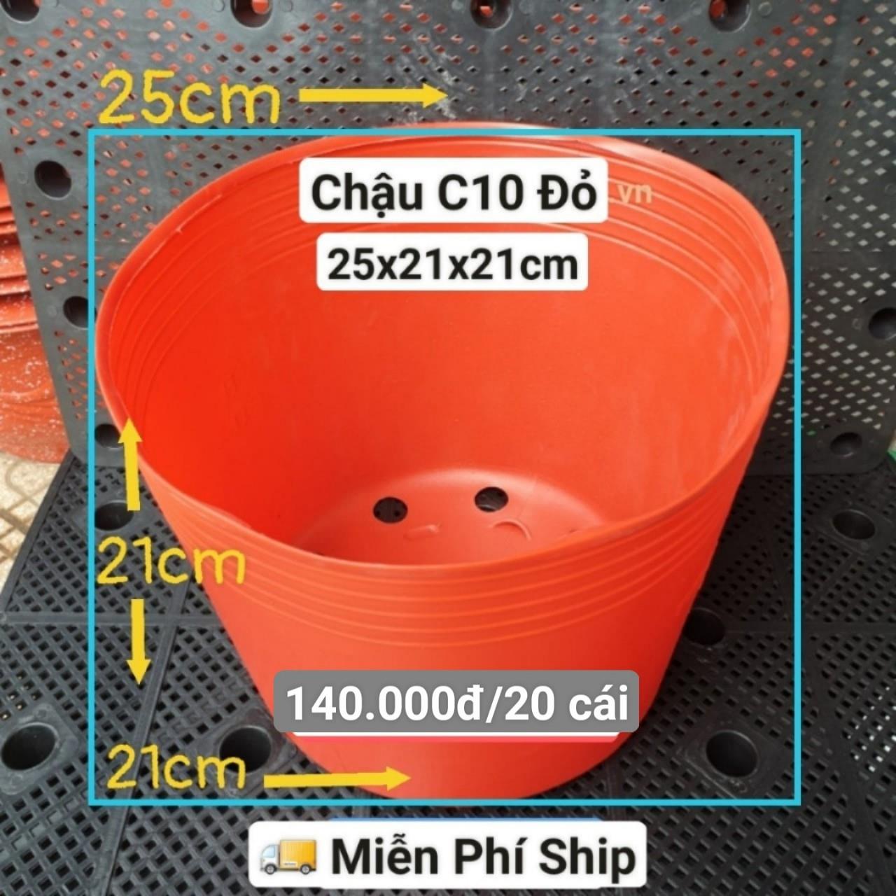 20 Chậu Mềm Đỏ C10