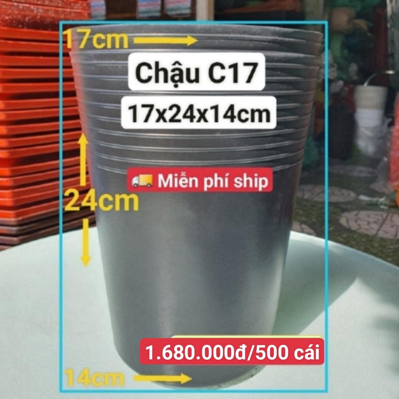500 Chậu Ươm Cây Giống C17