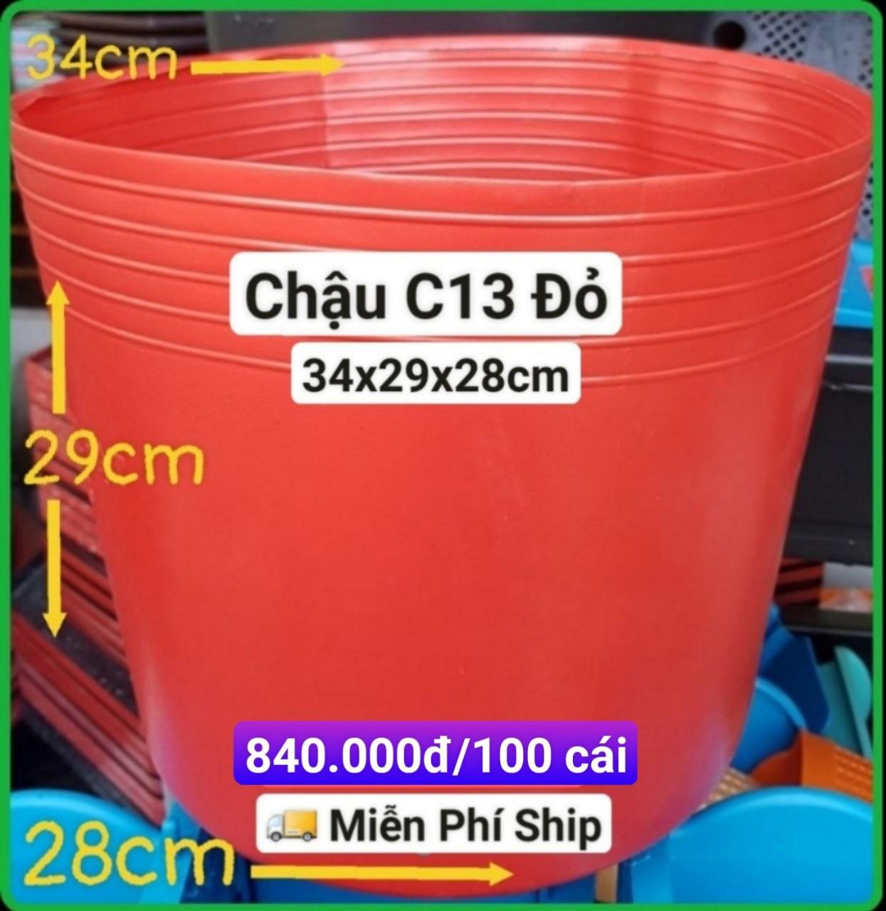 100 Chậu Mềm Đỏ C13