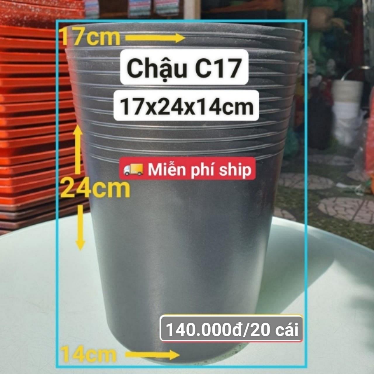 20 Chậu Ươm Cây Giống C17