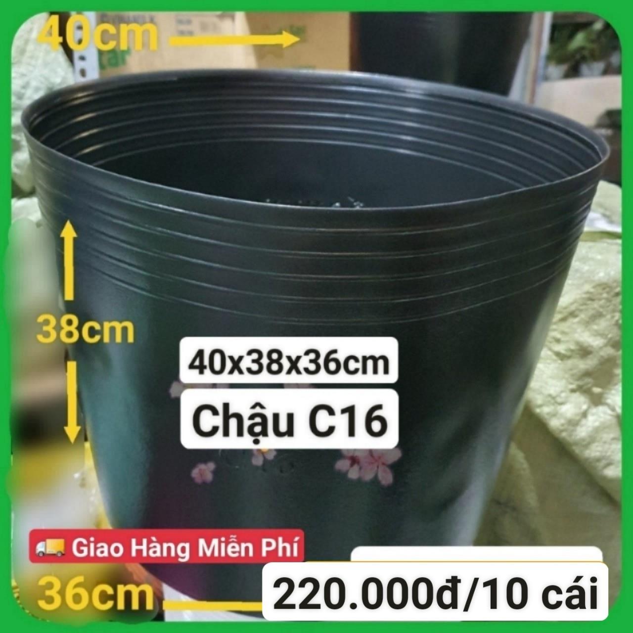 10 Chậu Mềm Đen C16