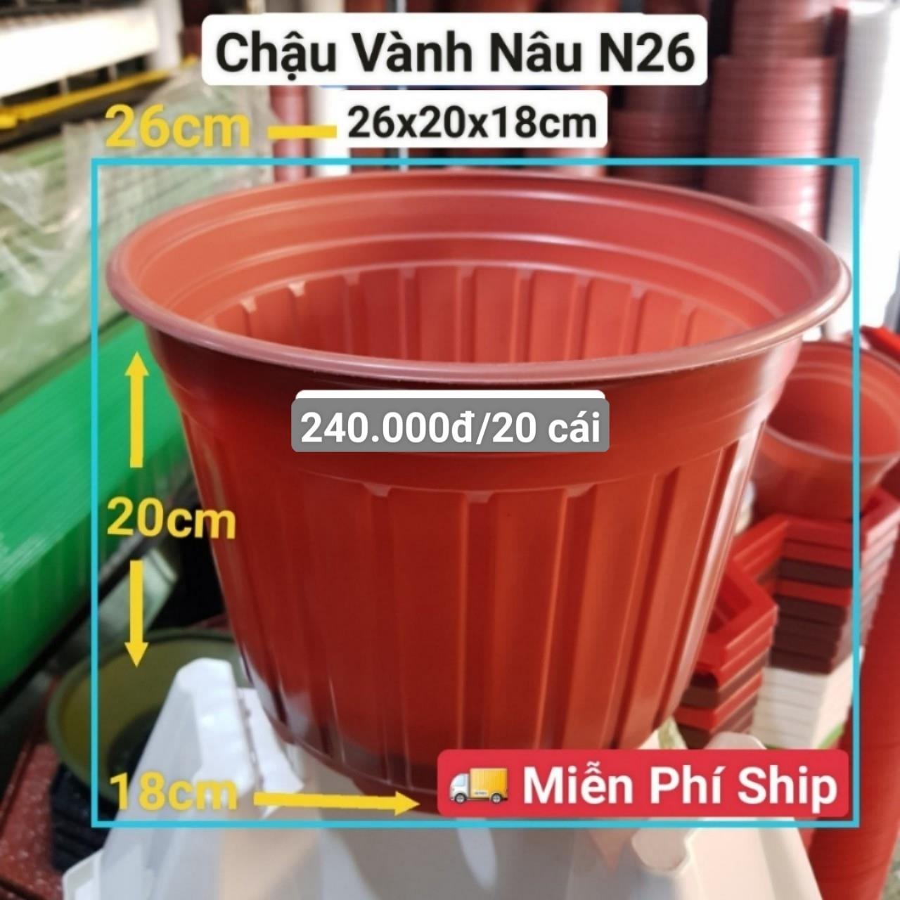 20 Chậu Vành Nâu N26