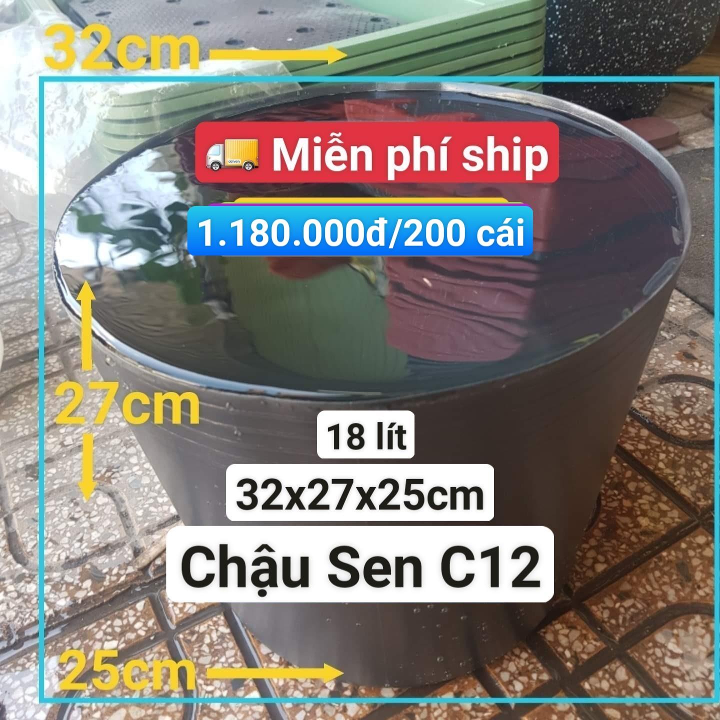 200 Chậu Nhựa Trồng Sen C12