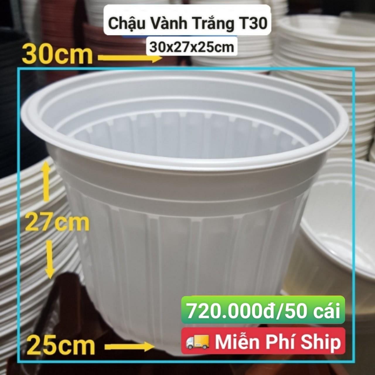 50 Chậu Vành Trắng T30
